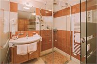 Hotel Montana - Bathroom Moosham